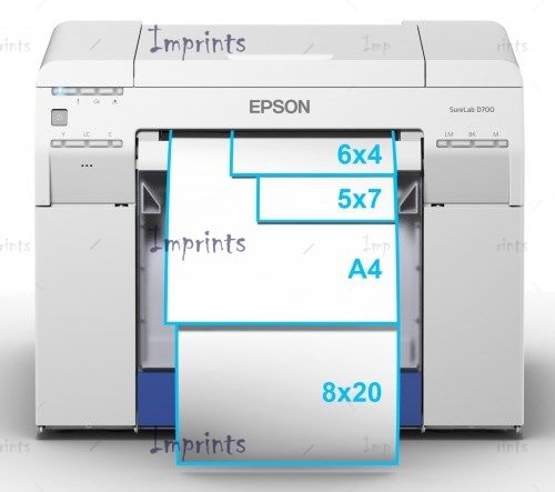 Купить Минифотолаборатория Epson SureLab SL-D700 PROMO Минифотолаборатория Epson SureLab SL-D700 PROMO